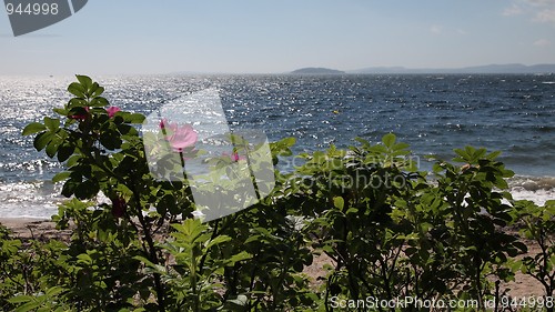 Image of summer's day by the sea