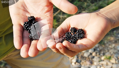 Image of Blackberries