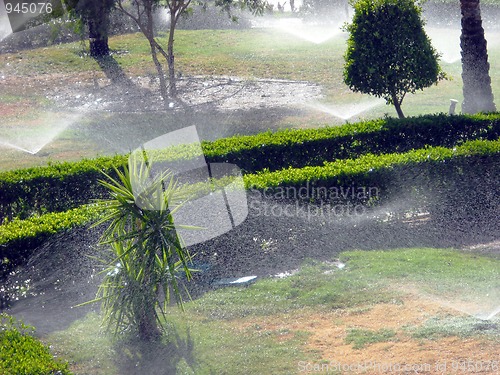 Image of Watering a garden