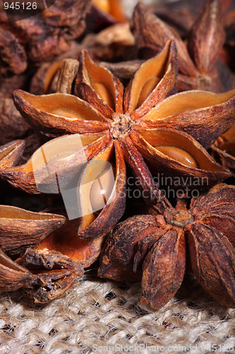 Image of Star anise 
