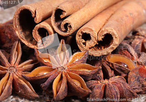 Image of Star anise and cinnamon sticks