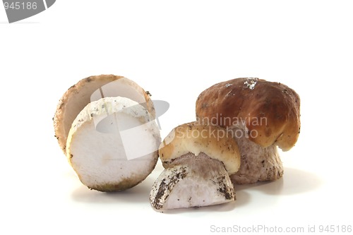 Image of ceps