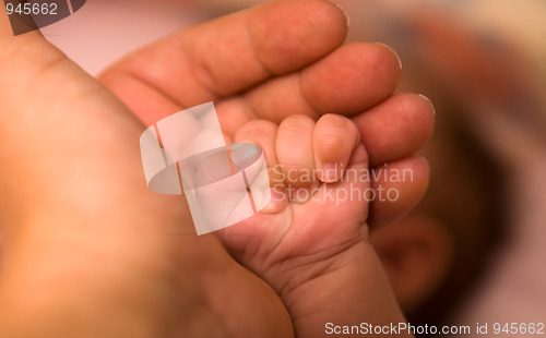 Image of Mother's and baby's hands