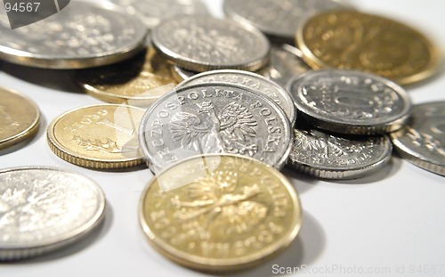Image of polish money