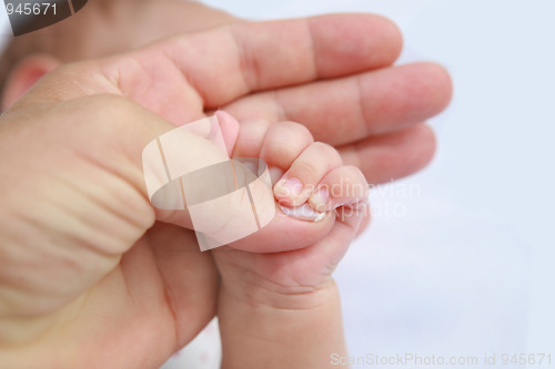 Image of Mother's and baby's hands 