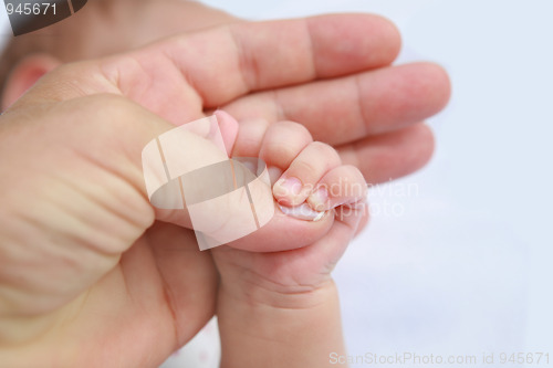 Image of Mother's and baby's hands 