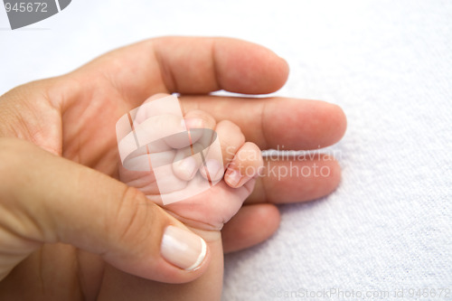 Image of Mother's and baby's hands 