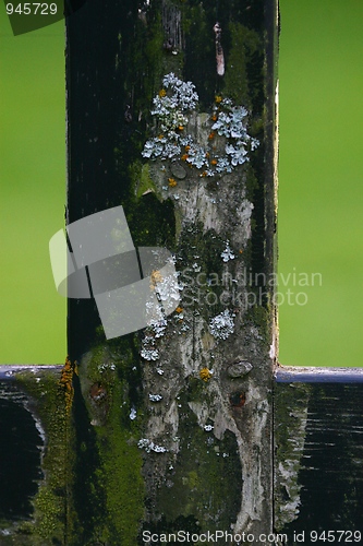 Image of Graveyard detail