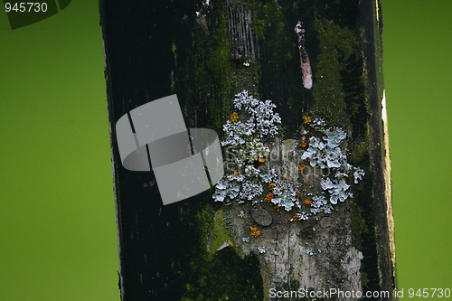 Image of Graveyard detail