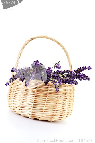 Image of basket with lavender flowers