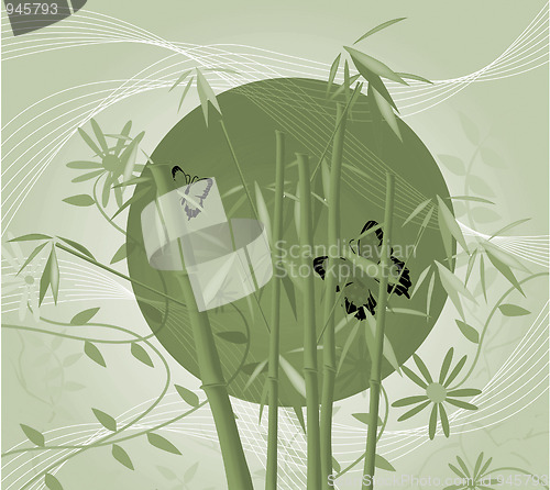 Image of Bamboo and Sun