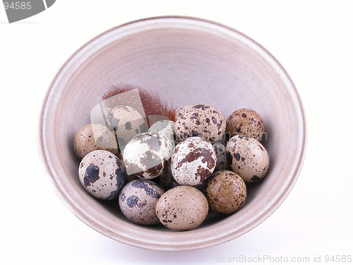 Image of quail eggs