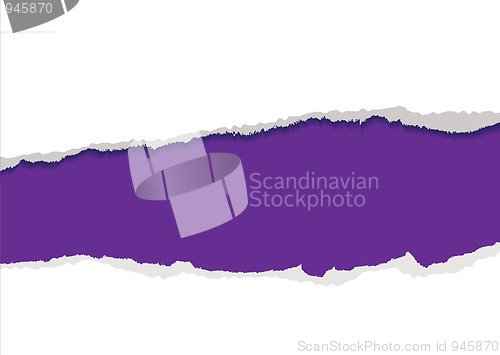 Image of purple torn strip background