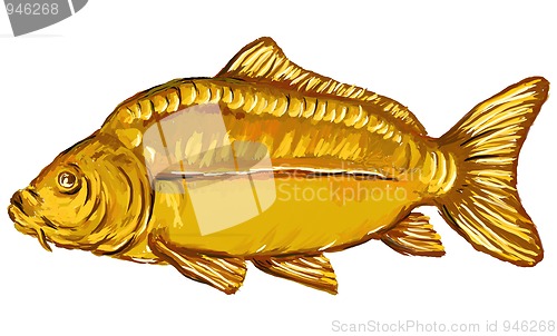 Image of carp