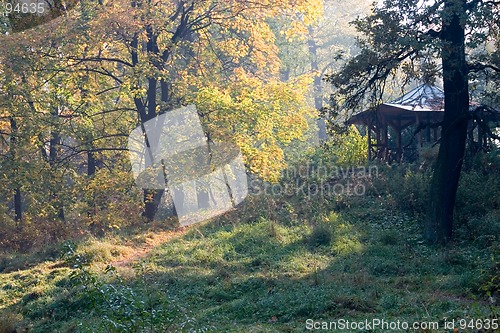 Image of Autumn morning