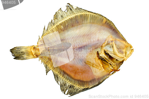 Image of Salted turbot flatfish