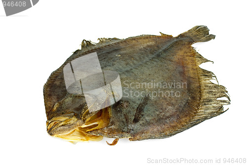 Image of Salted turbot flatfish