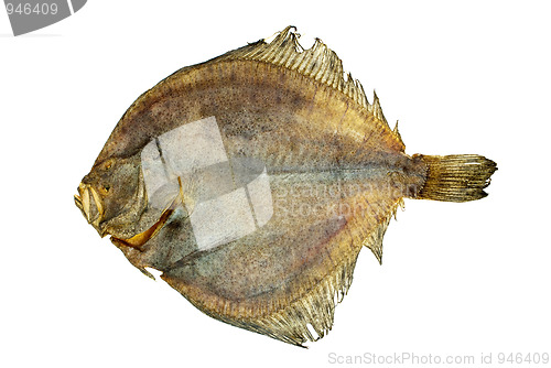 Image of Salted turbot flatfish