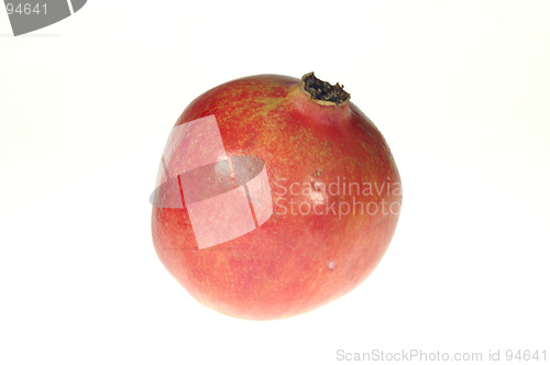 Image of fige