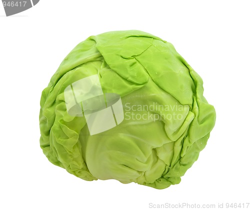 Image of Cabbage