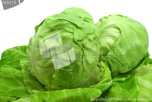 Image of Cabbages