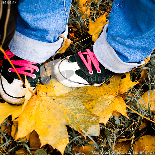 Image of hiking shoes over yellow leaves