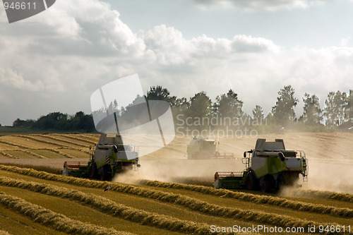 Image of Harvesting