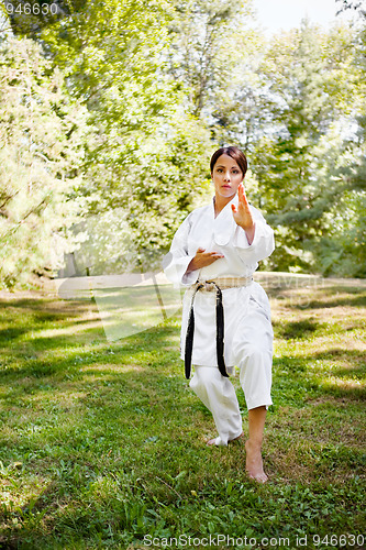 Image of Asian practicing karate