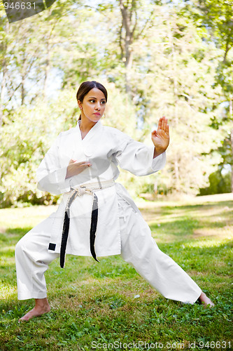 Image of Asian practicing karate