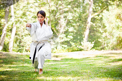 Image of Asian practicing karate