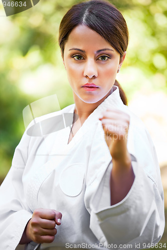 Image of Asian practicing karate