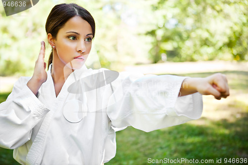 Image of Asian practicing karate