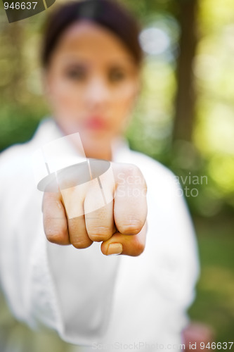 Image of Asian practicing karate