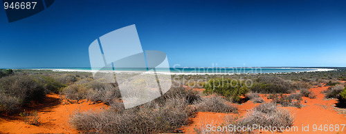 Image of shark bay