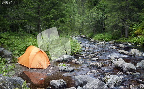 Image of Camping in the Forest 