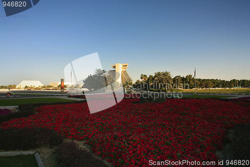 Image of Flowers and Doha hotel