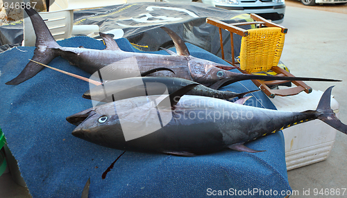 Image of Tuna and swordfish in Crete