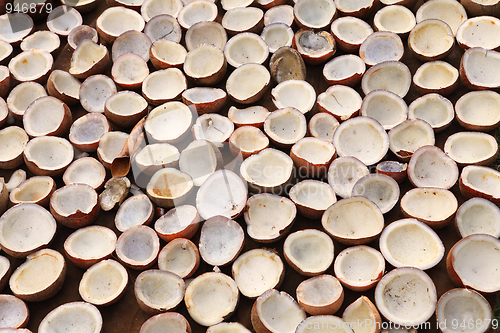 Image of Coconut copra drying in Kerala