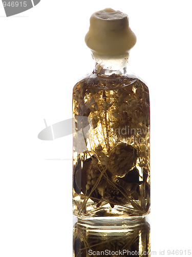 Image of Bath Oil