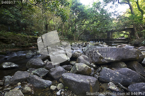 Image of Cascade falls over mossy rocks