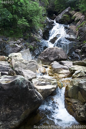 Image of Cascade falls over mossy rocks