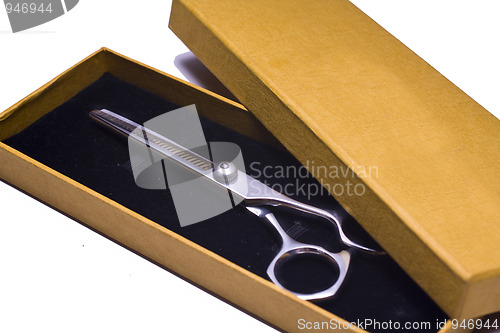 Image of Special scissors for work of hairdresser