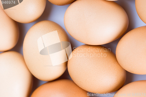 Image of brown eggs