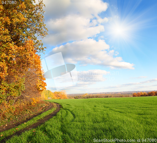 Image of autumn landscape with green field