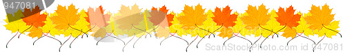 Image of border from autumn maple leaves