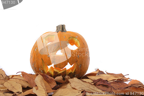 Image of halloween pumpkin 