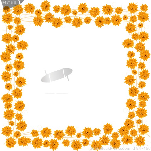 Image of Orange roses