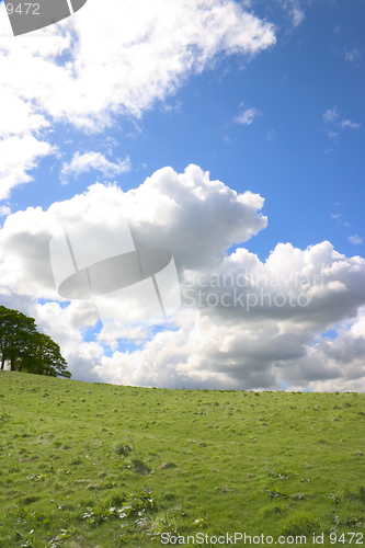 Image of Land and Sky 1