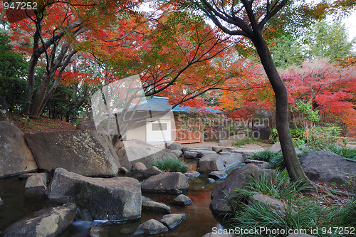 Image of Japanese garden
