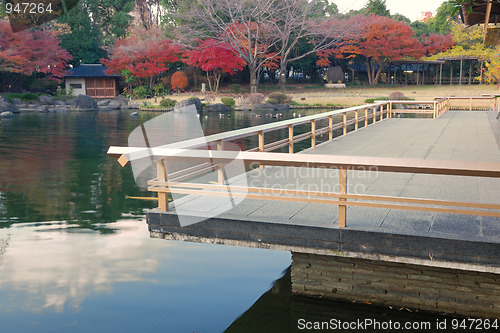 Image of japanese pond